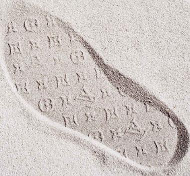 Louis Vuitton's environmental footprint